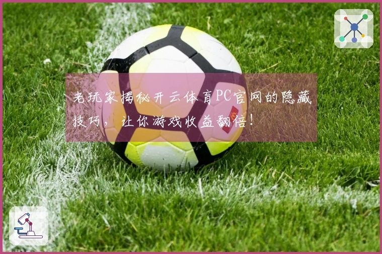 老玩家揭秘开云体育PC官网的隐藏技巧，让你游戏收益翻倍！